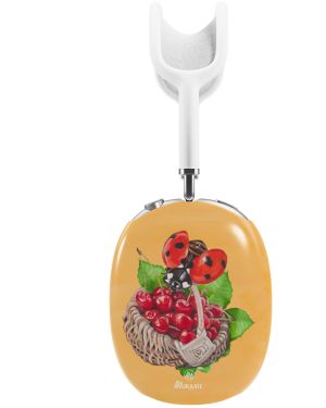 I am still standing –  AirPod Max Cases