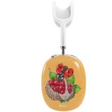 I am still standing –  AirPod Max Cases